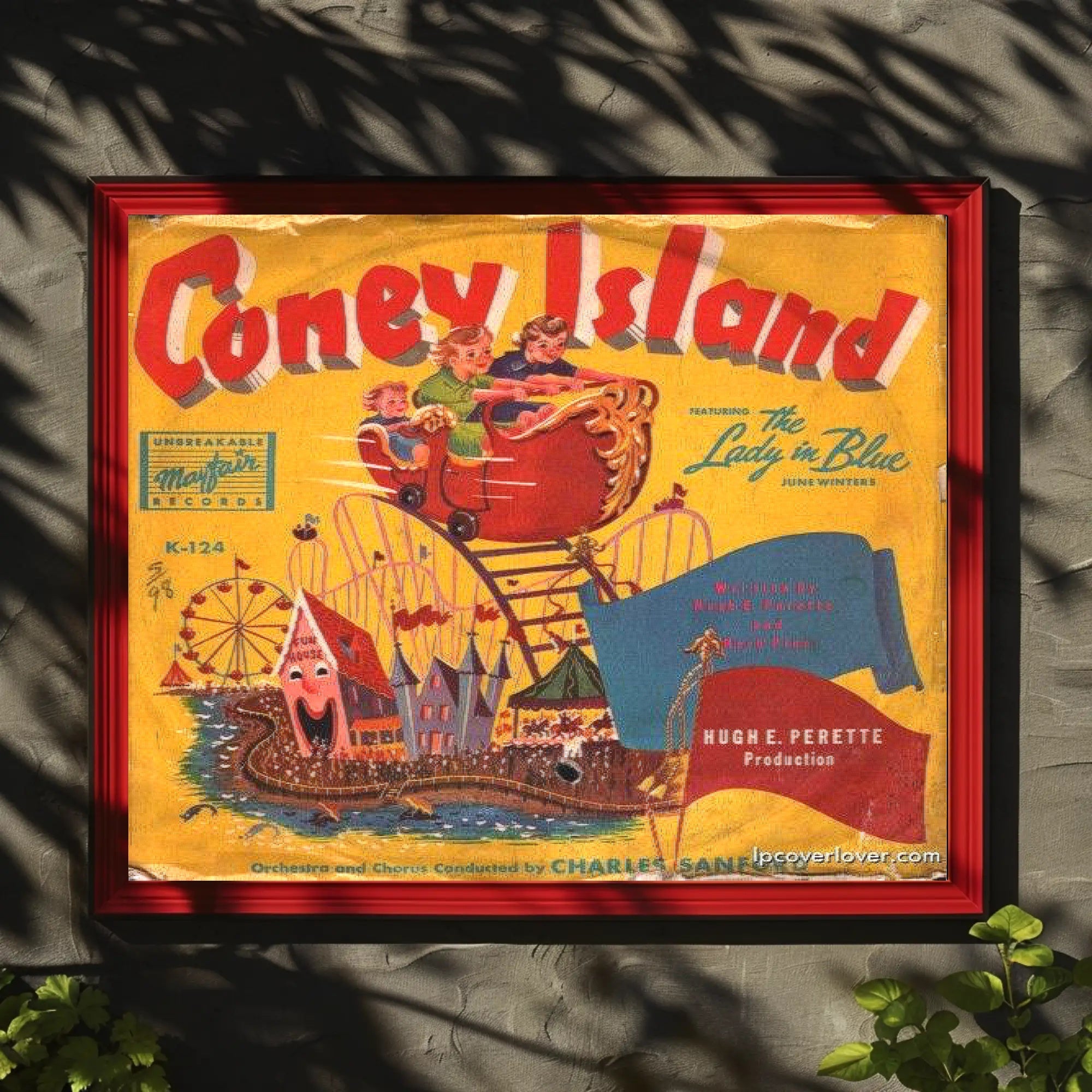Coney Island Adventure Poster