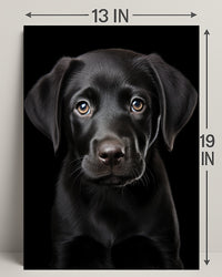 Portrait Of A Black Labrador Puppy Poster
