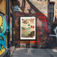 Great Barrier Reef Corals Poster
