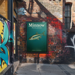 Minnow Phoxinus phoxinus Poster PosterGoat