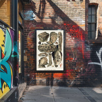 Great Barrier Reef Oysters Poster