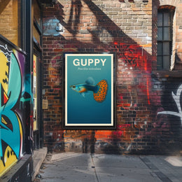 GuppyPoecilia reticulata Poster PosterGoat