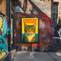 American Wirehair Cat Poster