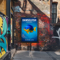 Damselfish Marine Life Poster PosterGoat