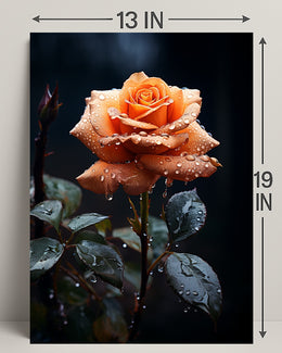 Dew-Kissed Rose Poster PosterGoat