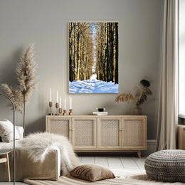 Winter Pathway Poster