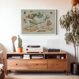 Insect and Foliage Vintage Botanical Illustration Educational Poster