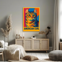 American Curl Poster
