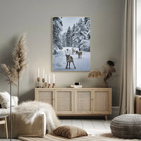 Winter Wonderland With Reindeer Poster
