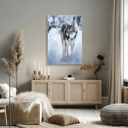 Winter Wolf In The Snow Poster