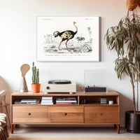 Ostrich Exploration in Ancient Continent Animal Poster