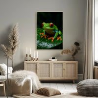 Vibrant Rainforest Frog Poster