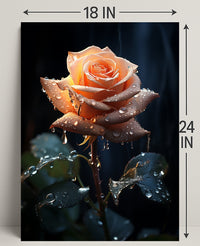 Dew-Kissed Rose Poster PosterGoat