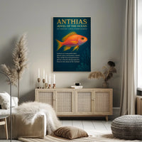 Anthias Jewel of the Ocean Poster