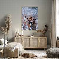 Winter Birds In Flight Poster