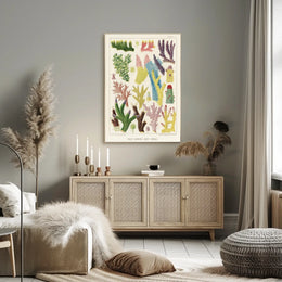 Great Barrier Reef Corals Poster