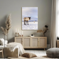 Winter Wilderness Majestic Reindeer Poster