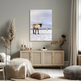Winter Wilderness Majestic Reindeer Poster