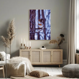 Winter Serenity Poster