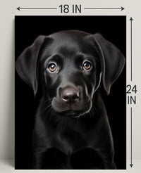 Portrait Of A Black Labrador Puppy Poster