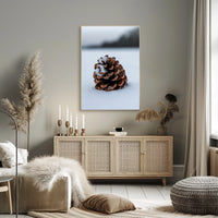 Pine Cone In Snow Poster