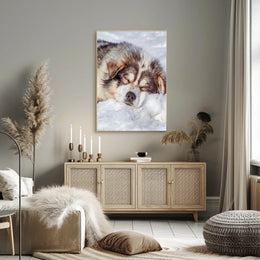 Winter Slumber Poster