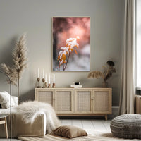 Snow-Kissed Autumn Leaves Poster