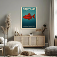Cherry Barb Freshwater Aquarium Fish Poster PosterGoat