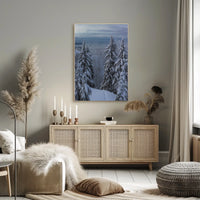 Serene Winter Landscape with Ski Tracks National Park Poster