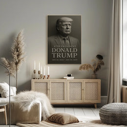 Donald Trump 47th President Poster