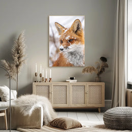 Winter Fox Poster
