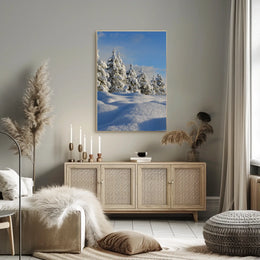 Serene Winter Landscape with Evergreen Trees National Park Poster