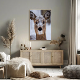 Winter Wonder Poster