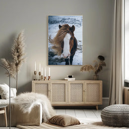 Majestic Icelandic Horse in Winter Animal Poster