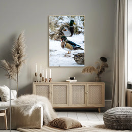 Winter Serenity Ducks In Snow Poster