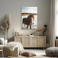 Winter Horse in the Snow Poster