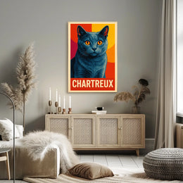 Chartreux Cat Poster