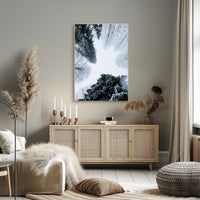 Winter Canopy Poster