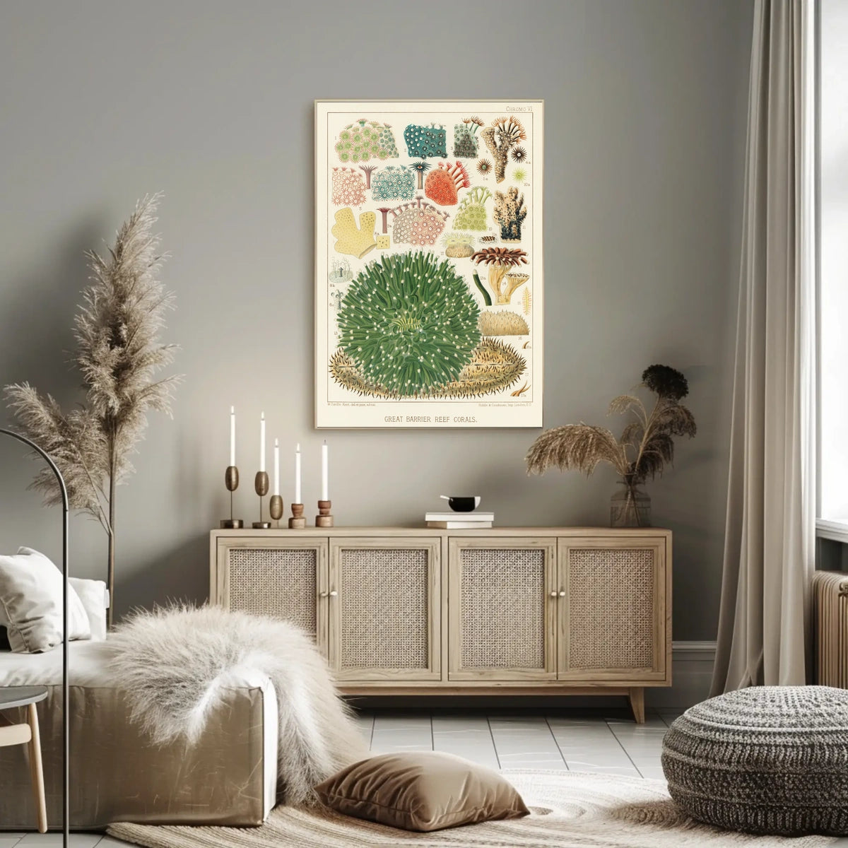 Great Barrier Reef Corals Poster