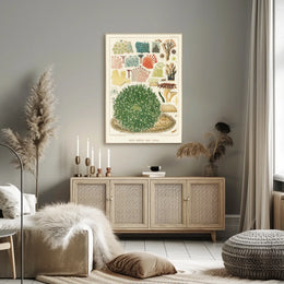 Great Barrier Reef Corals Poster