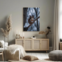 Squirrel on Snowy Branch Animal Poster