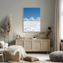 Winter Tranquility: Nature's Beauty in National Park Poster