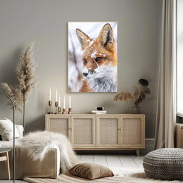 Winter Fox Poster
