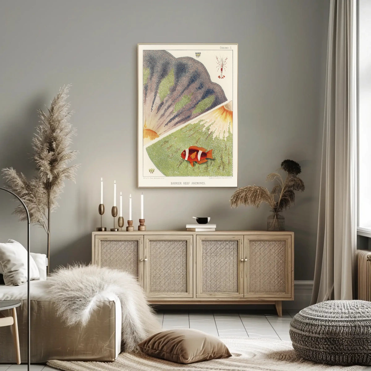 Barrier Reef Anemones Poster