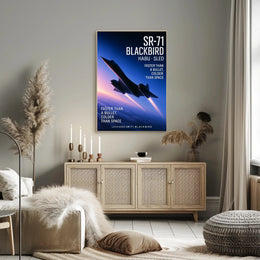 Lockheed SR-71 Blackbird Habu Sled Poster PosterGoat