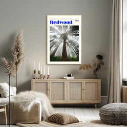 Redwood National Park Scenic Poster Wall Art Print