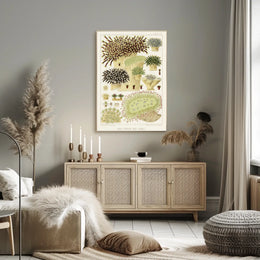 Great Barrier Reef Corals Poster