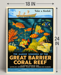 Marine Wonders of the Great Barrier Reef Poster PosterGoat