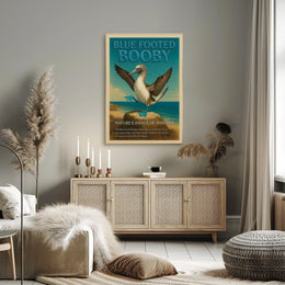 Blue-footed Booby Natures Dance of Wonder Poster