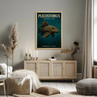 Plecostomus Fish Illustration: Educational or Infographic Poster